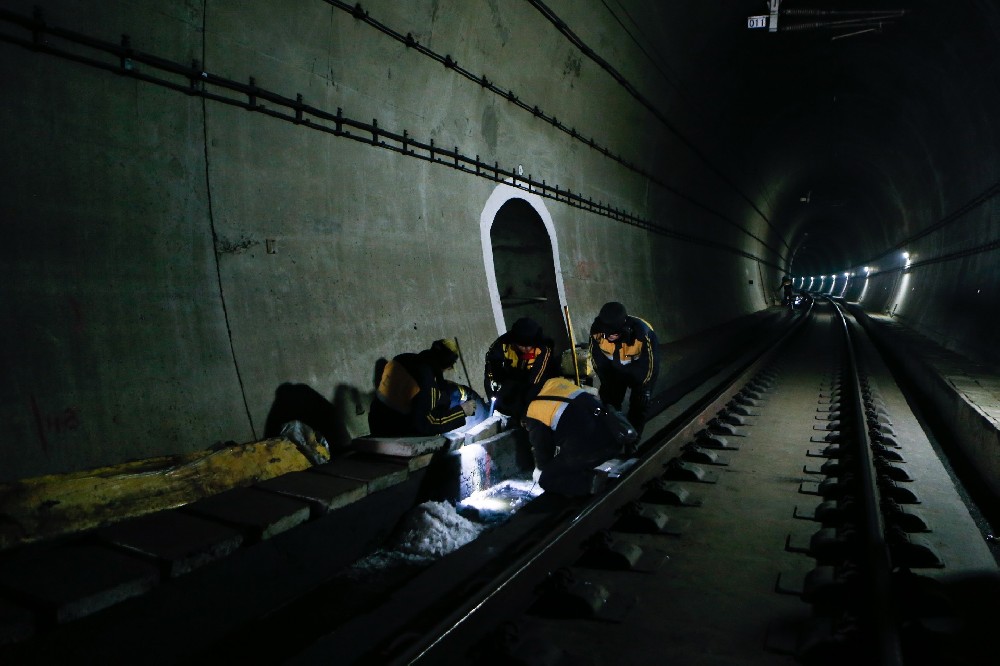 鹿城铁路运营隧道病害现状